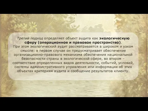 Третий подход определяет объект аудита как экологическую сферу (операционное и