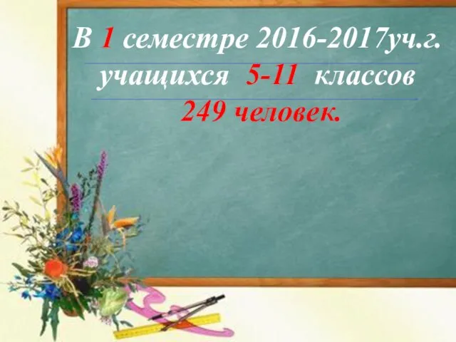 В 1 семестре 2016-2017уч.г. учащихся 5-11 классов 249 человек.