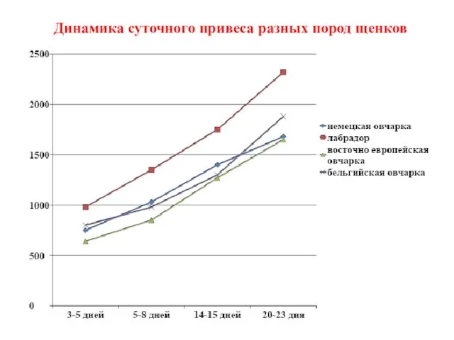 Динамика суточного привеса разных пород щенков