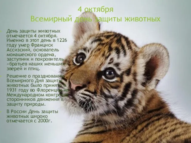 4 октября Всемирный день защиты животных День защиты животных отмечается