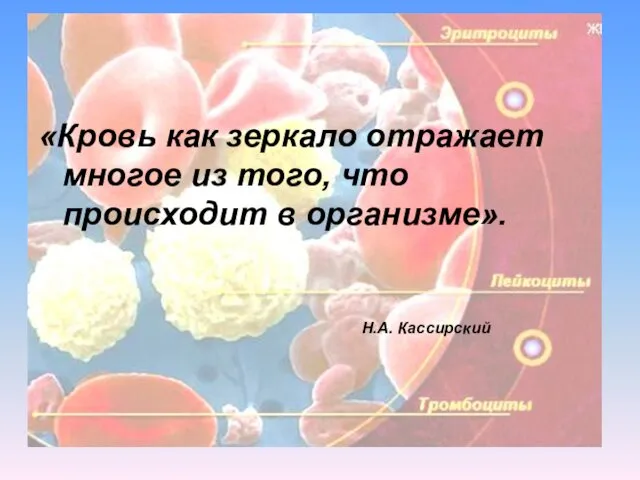 «Кровь как зеркало отражает многое из того, что происходит в организме». Н.А. Кассирский