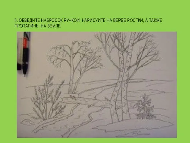 5. ОБВЕДИТЕ НАБРОСОК РУЧКОЙ. НАРИСУЙТЕ НА ВЕРБЕ РОСТКИ, А ТАКЖЕ ПРОТАЛИНЫ НА ЗЕМЛЕ
