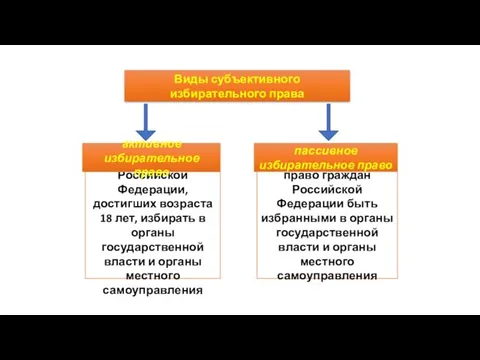 Виды субъективного избирательного права право граждан Российской Федерации, достигших возраста