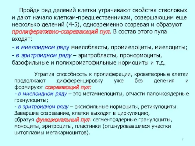 Пройдя ряд делений клетки утрачивают свойства стволовых и дают начало клеткам-предшественникам, совершающим еще