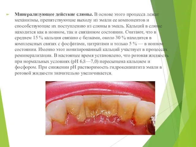 Минерализующее действие слюны. В основе этого процесса лежат механизмы, препятствующие