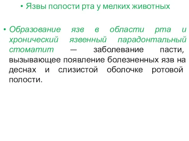 Язвы полости рта у мелких животных Образование язв в области