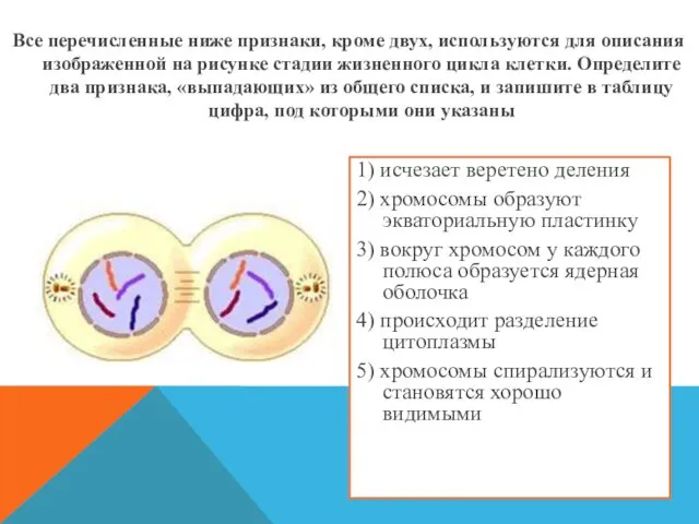 Все перечисленные ниже признаки, кроме двух, используются для описания изображенной