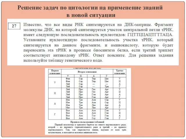 Решение задач по цитологии на применение знаний в новой ситуации