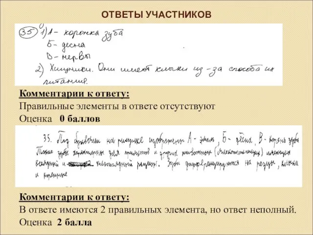 ОТВЕТЫ УЧАСТНИКОВ Комментарии к ответу: В ответе имеются 2 правильных