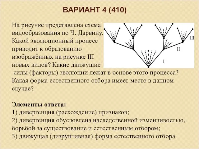 ВАРИАНТ 4 (410) На рисунке представлена схема видообразования по Ч.