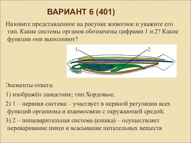 ВАРИАНТ 6 (401) Назовите представленное на рисунке животное и укажите