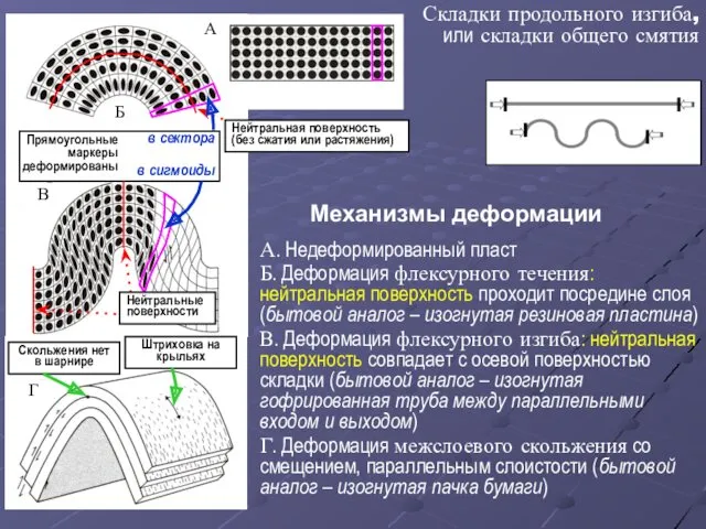 А. Недеформированный пласт Б. Деформация флексурного течения: нейтральная поверхность проходит