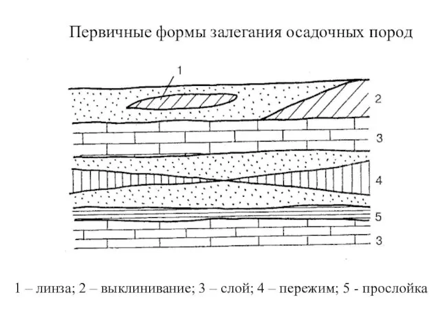 1 – линза; 2 – выклинивание; 3 – слой; 4