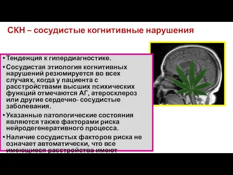 СКН – сосудистые когнитивные нарушения Тенденция к гипердиагностике. Сосудистая этиология когнитивных нарушений резюмируется