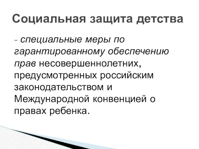 – специальные меры по гарантированному обеспечению прав несовершеннолетних, предусмотренных российским