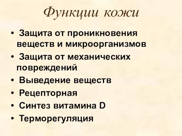 Функции кожи Защита от проникновения веществ и микроорганизмов Защита от