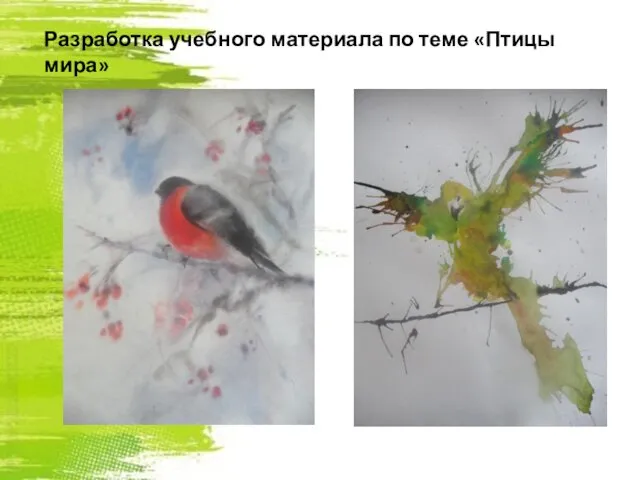 Разработка учебного материала по теме «Птицы мира»