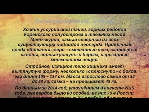 Дальневосточный леопард Хозяин уссурийской тайги, горных районов Корейского полуострова и