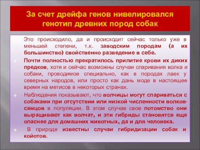 За счет дрейфа генов нивелировался генотип древних пород собак Это