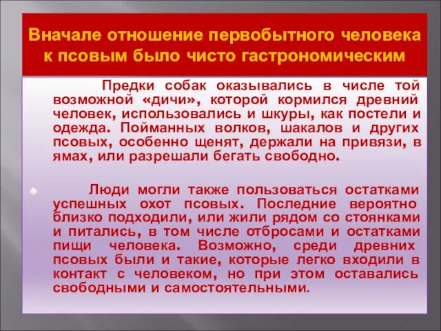 Вначале отношение первобытного человека к псовым было чисто гастрономическим Предки