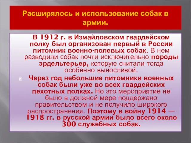 Расширялось и использование собак в армии. В 1912 г. в