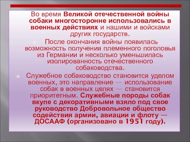 Во время Великой отечественной войны собаки многосторонне использовались в военных