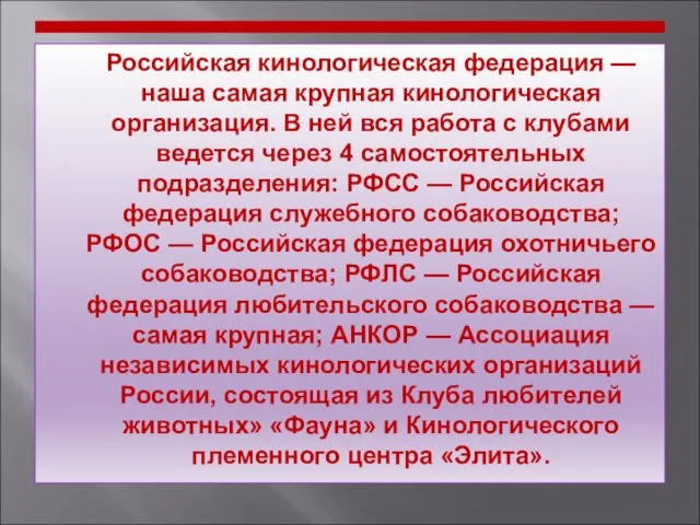 Российская кинологическая федерация — наша самая крупная кинологическая организация. В