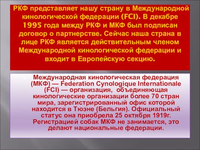 РКФ представляет нашу страну в Международной кинологической федерации (FCI). В