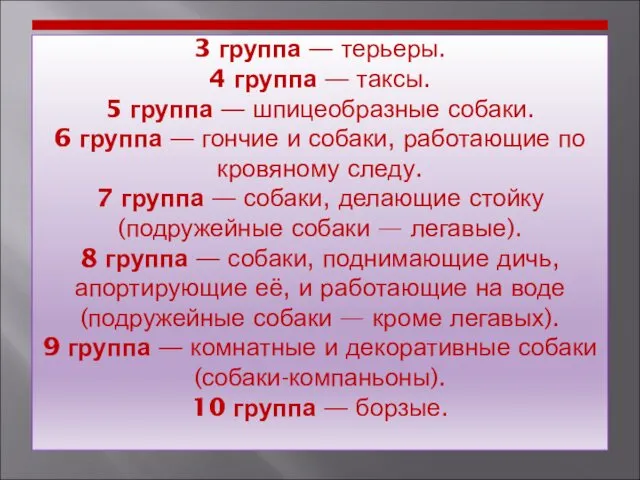 3 группа — терьеры. 4 группа — таксы. 5 группа