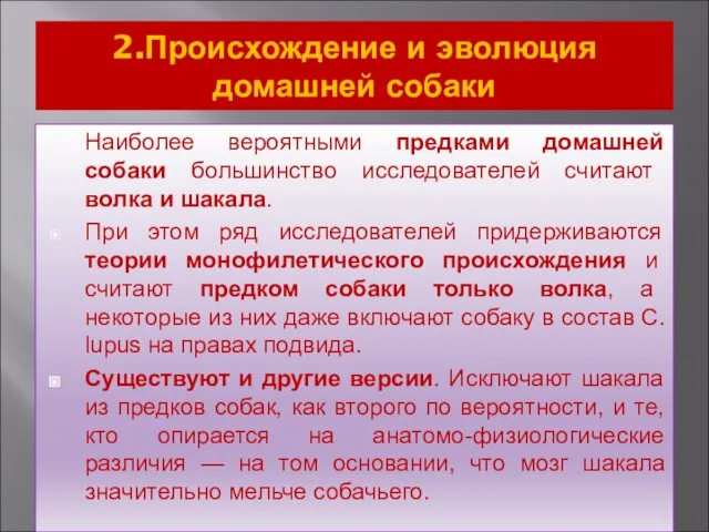 2.Происхождение и эволюция домашней собаки Наиболее вероятными предками домашней собаки