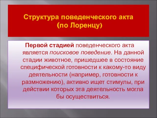 Структура поведенческого акта (по Лоренцу) Первой стадией поведенческого акта является