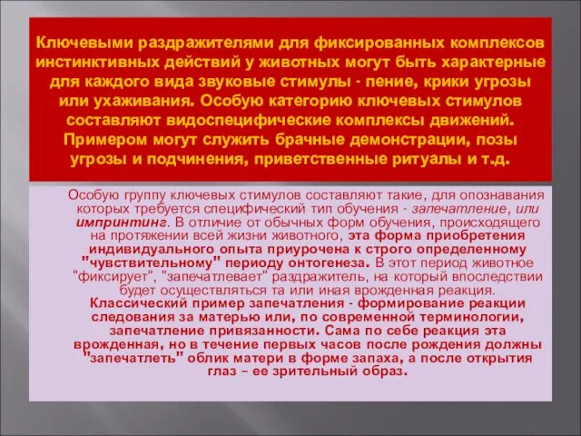 Ключевыми раздражителями для фиксированных комплексов инстинктивных действий у животных могут