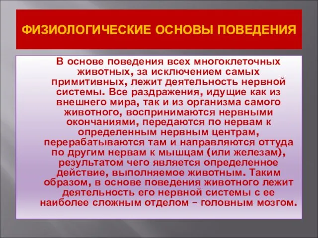 ФИЗИОЛОГИЧЕСКИЕ ОСНОВЫ ПОВЕДЕНИЯ В основе поведения всех многоклеточных животных, за