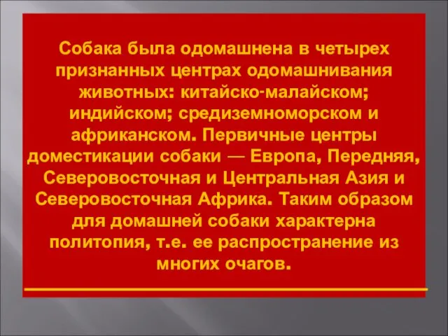 Собака была одомашнена в четырех признанных центрах одомашнивания животных: китайско-малайском;