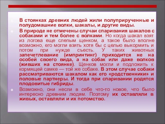 В стоянках древних людей жили полуприрученные и полудомашние волки, шакалы,