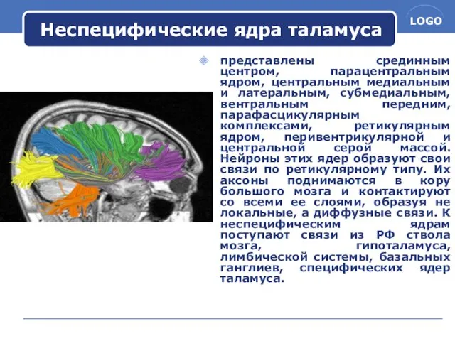 Неспецифические ядра таламуса представлены срединным центром, парацентральным ядром, центральным медиальным