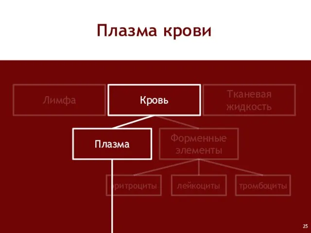 Лимфа Кровь Тканевая жидкость Плазма Форменные элементы лейкоциты тромбоциты эритроциты Плазма крови