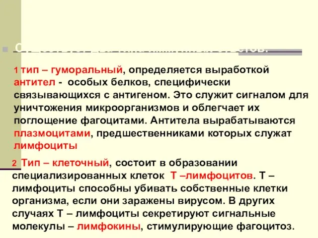 Существует два типа иммунных ответов: 1 тип – гуморальный, определяется выработкой антител -