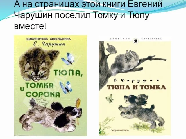А на страницах этой книги Евгений Чарушин поселил Томку и Тюпу вместе!