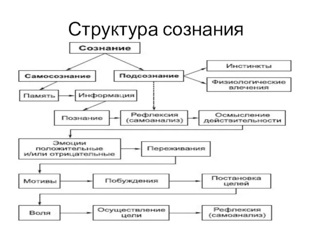 Структура сознания