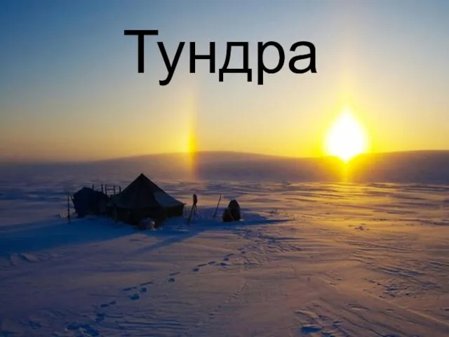 Тундра