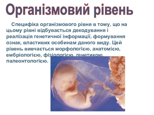 Специфіка організмового рівня в тому, що на цьому рівні відбувається