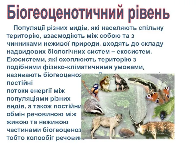 Популяції різних видів, які населяють спільну територію, взаємодіють між собою