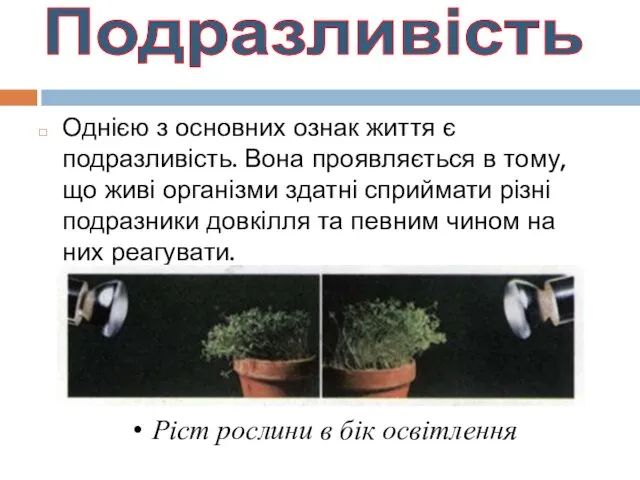 Однією з основних ознак життя є подразливість. Вона проявляється в