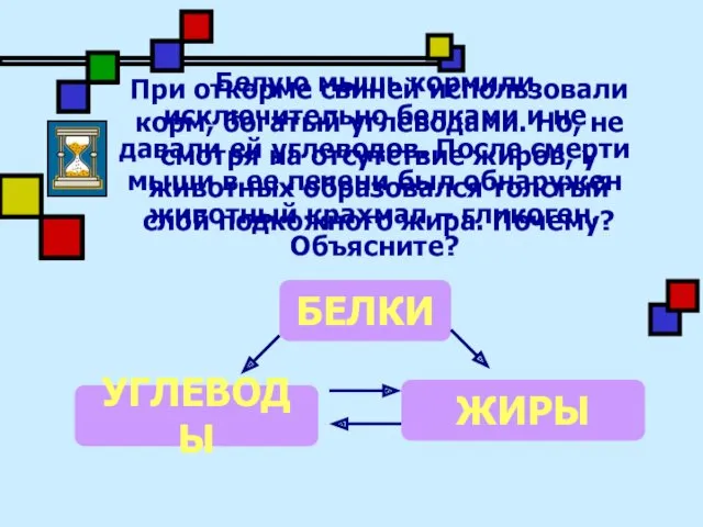 Белую мышь кормили исключительно белками и не давали ей углеводов.