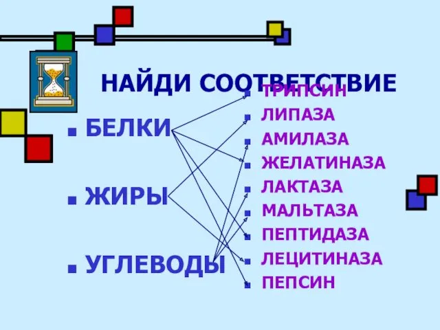 НАЙДИ СООТВЕТСТВИЕ БЕЛКИ ЖИРЫ УГЛЕВОДЫ ТРИПСИН ЛИПАЗА АМИЛАЗА ЖЕЛАТИНАЗА ЛАКТАЗА МАЛЬТАЗА ПЕПТИДАЗА ЛЕЦИТИНАЗА ПЕПСИН