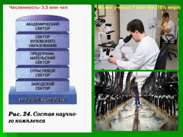 Численность- 3,5 млн чел Из них учёных 1 млн чел (18% мира)