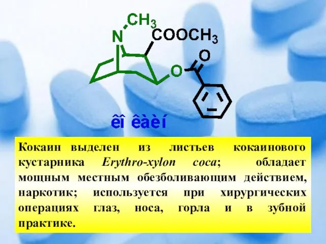 Кокаин выделен из листьев кокаинового кустарника Erythro-xylon coca; обладает мощным