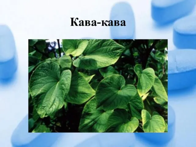 Кава-кава