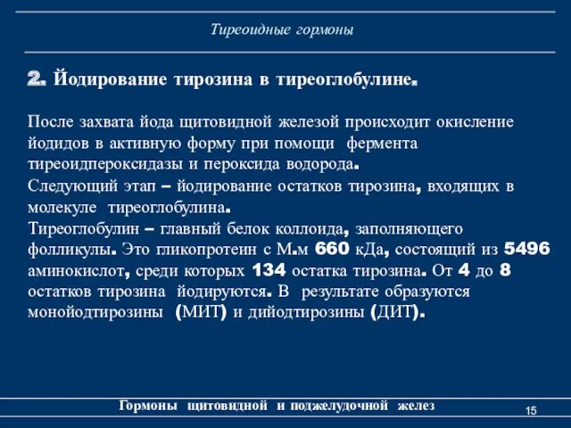 Тиреоидные гормоны Гормоны щитовидной и поджелудочной желез 2. Йодирование тирозина